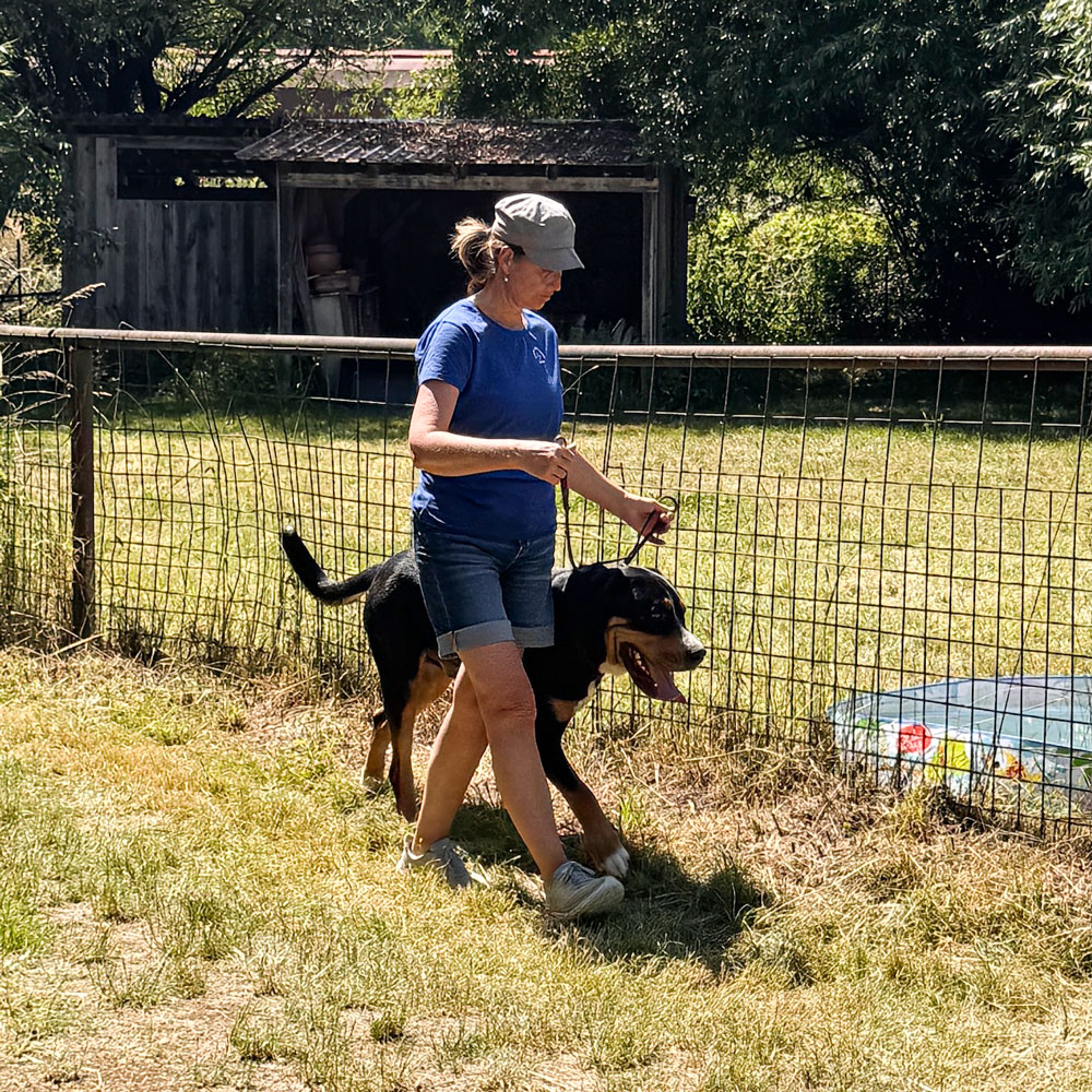 Sommer-Seminar-Sonja-mit-Oskar_IMG_3707-2